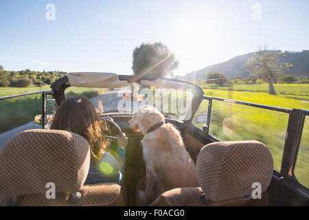 Femme mature et chien, en voiture décapotable, vue arrière Banque D'Images