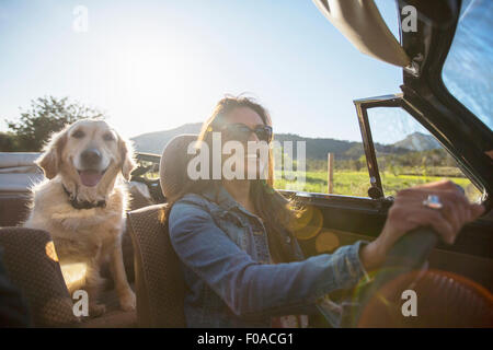 Femme mature et chien, en voiture décapotable Banque D'Images