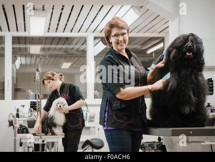 Portrait de chien et en salon de toilettage chien toiletteur Banque D'Images