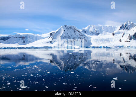 Avis de Wilhelmina Bay, Antarctique Banque D'Images