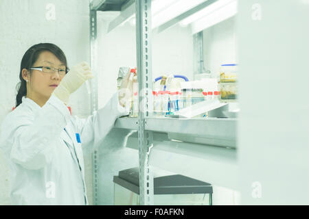 Female scientist looking at test tube plant samples in lab Banque D'Images