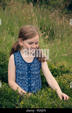 Berry picker passer une après-midi d'été sur la cueillette de myrtilles Otley chevin du West Yorkshire. Banque D'Images