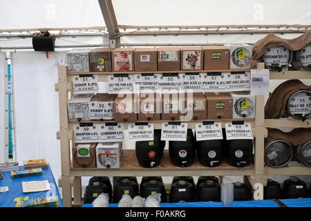 Une gamme de cidres en vente à un cidre et de vraie bière festival à Weston super mare Banque D'Images