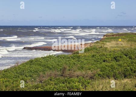 Voir d'Brackley-Dalvay, parc national de l'île du Prince-Édouard, Canada Banque D'Images