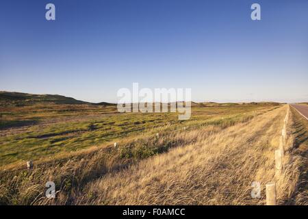 Avis de champ dans Brackley-Dalvay, Parc National de l'Île du Prince-Édouard, Canada Banque D'Images