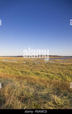 Avis de champ dans Brackley-Dalvay, Parc National de l'Île du Prince-Édouard, Canada Banque D'Images