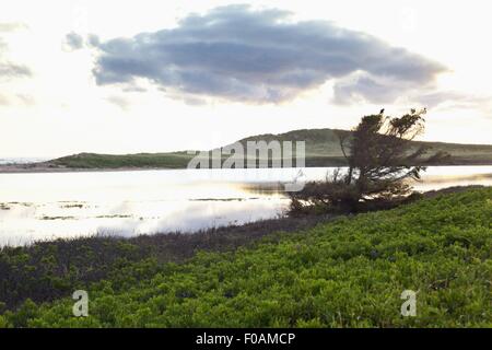 View of Prince Edward Island National Park, Brackley-Dalvay, Canada Banque D'Images