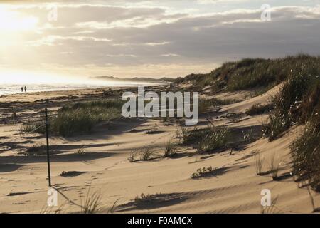 Avis de Brackley Dalva plage au coucher du soleil, Prince Edward Island, Canada Banque D'Images