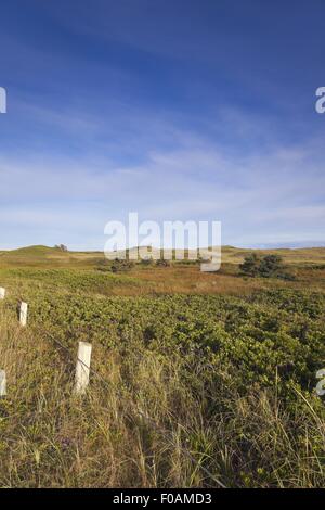 Voir d'Brackley-Dalvay, parc national de l'île du Prince-Édouard, Canada Banque D'Images