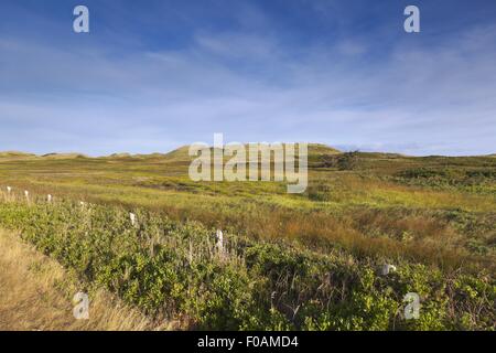 Voir d'Brackley-Dalvay, parc national de l'île du Prince-Édouard, Canada Banque D'Images