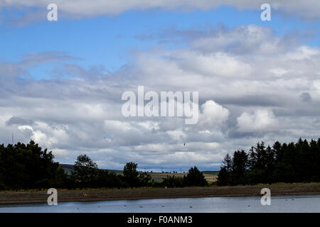 Tayside, Dundee, Écosse, Royaume-Uni, 11 août, 2015. Météo : un jour lumineux avec un peu de soleil parfois, mais aussi quelques douches de lumière à travers les collines d'abord avec la lumière ou des vents d'ouest modéré. Température Maximum 19°C. Matin pluie nuages brewing jusqu'à travers les Sidlaw Hills et Dundee city que les orages menacent plus tard dans la journée. Credit : Dundee Photographics / Alamy Live News Banque D'Images