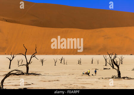 Les Morts Viei (DeadVlei) Pan, Namib-Naukluft National Park, Sossusviei, Désert du Namib, Région Hardap, République de Namibie Banque D'Images