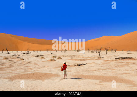 Les Morts Viei (DeadVlei) Pan, Namib-Naukluft National Park, Sossusviei, Désert du Namib, Région Hardap, République de Namibie Banque D'Images