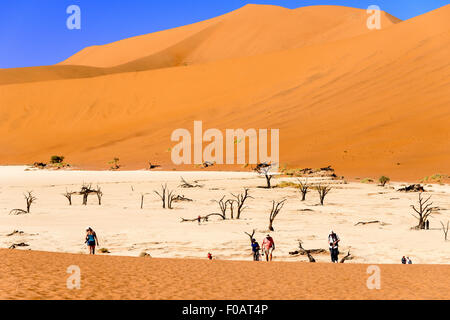 Les Morts Viei (DeadVlei) Pan, Namib-Naukluft National Park, Sossusviei, Désert du Namib, Région Hardap, République de Namibie Banque D'Images