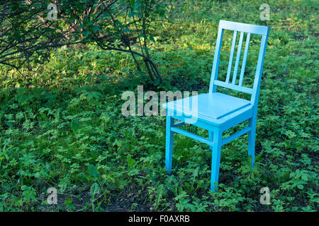 Vintage bleu vide président sur le jardin vert prairie Banque D'Images