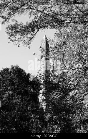 L'obélisque égyptien connu sous le nom de Cléopâtre aiguille dans Manhattan Central Park New York en noir et blanc avec copie espace Banque D'Images