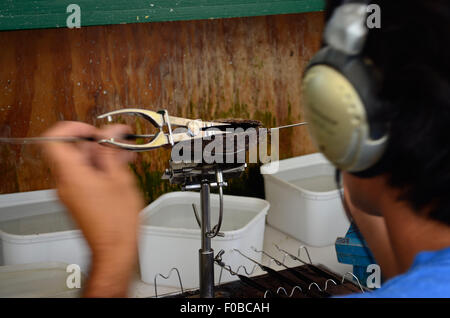 L'implantation chirurgicale d'un irritant dans une coquille d'huître pour produire des perles noires sur une perle de culture agricole de l'industrie sur Rangiroa. Banque D'Images