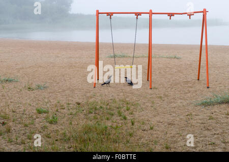 Vieux swing orange et deux corbeaux sur la plage, l'arrière-plan sur le lac brumeux Banque D'Images