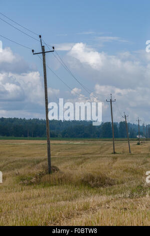 Vieux poteaux de téléphone en bois en campagne, rural background Banque D'Images
