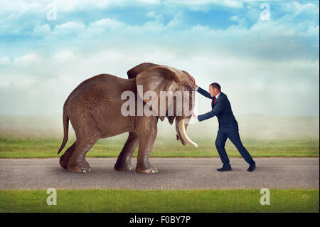 Défi d'entreprise poussant contre elephant obstacle concours de force Banque D'Images