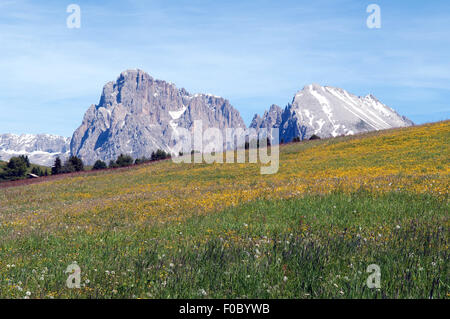 Plattkofel, Langkofel Seiser Alm,,, S Banque D'Images