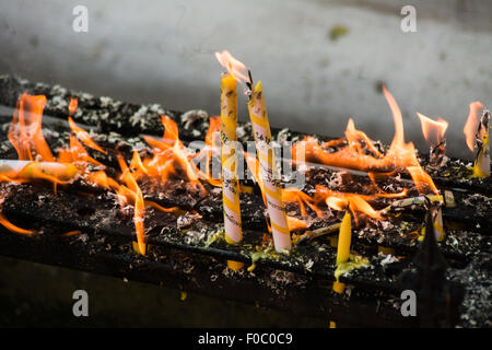 Cire de résidus en flammes autour de deux bougies jaunes et blanches dans un temple bouddhiste. La dévotion à la flamme Banque D'Images