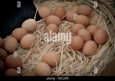 Panier d'oeufs biologiques dans un marché de producteurs ruraux. Shot filtré avec un focus sélectif Banque D'Images