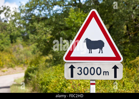 Le trafic triangulaire avertissement signe des moutons sur la route sur un chemin rural background Banque D'Images