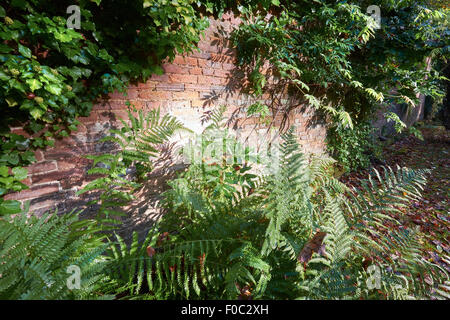 Wallington House Country Gardens dans le Nord Est de l'Angleterre, Royaume-Uni. Banque D'Images