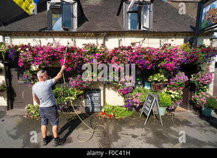 Locateur Bryn Masterman paniers suspendus eaux à l'extérieur de l'ancien château pub à Bridgnorth, Shropshire, Angleterre : Mercredi 12 août 2015. Crédit : John Hayward/Alamy Live News Banque D'Images