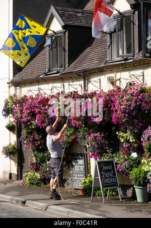 Locateur Bryn Masterman paniers suspendus eaux à l'extérieur de l'ancien château pub à Bridgnorth, Shropshire, Angleterre : Mercredi 12 août 2015. Crédit : John Hayward/Alamy Live News Banque D'Images