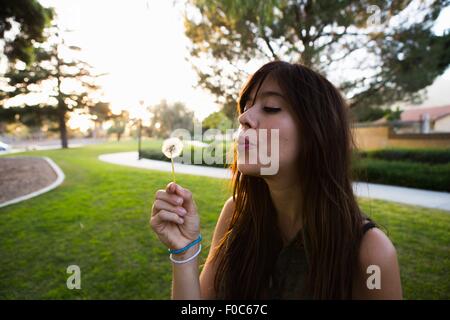 Young woman blowing dandelion clock in park Banque D'Images