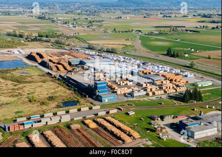 Vue aérienne de troncs d'arbres empilés et bandes en parc de séchage Banque D'Images