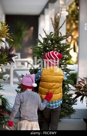 Girl and boy carrying Christmas Tree Banque D'Images