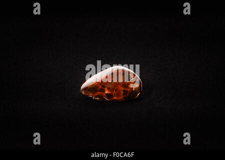 Morceau de pietersite originaires de Namibie Afrique sur tissu velours. Type de pierres précieuses métamorphiques de l'oeil de tigre. Banque D'Images