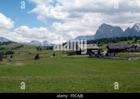 Plattkofel, Langkofel Seiser Alm,,, S Banque D'Images