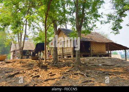 Village rural à Ava (Inwa) en Birmanie (Myanmar) montrant les maisons faites de feuilles de bambou tressé et d'alimentation de la vache. Banque D'Images