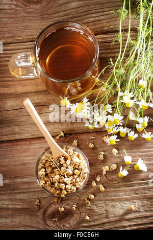 Avec tisane Camomille fleurs fraîches et séchées Banque D'Images