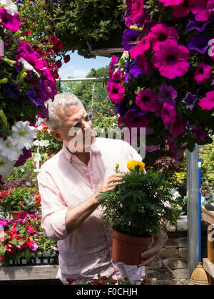 Man Shopping at Flower pépinière, USA Banque D'Images