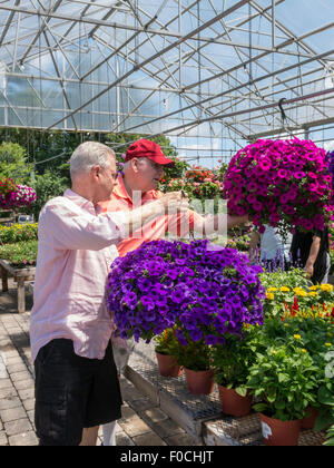 Man Shopping at Flower pépinière, USA Banque D'Images