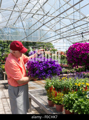 Man Shopping at Flower pépinière, USA Banque D'Images