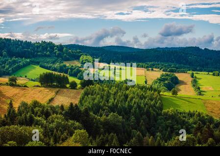 Pologne Bieszczady Paysage. La Pologne du Sud-Est Gamme Bieszczady en été. La Pologne, l'Europe. Banque D'Images