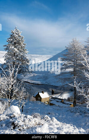 Neige fraîche couvrant les collines, arbres et maisons dans le Peak District, nord-ouest de l'Angleterre. Banque D'Images