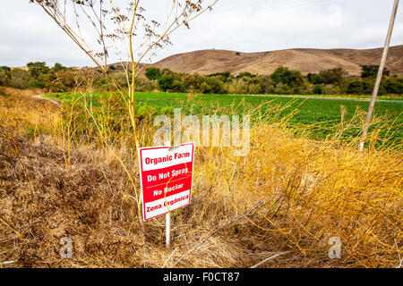 Un signe pour demander la à côté d'un champ de courges bio près de Prunedale en Californie Banque D'Images