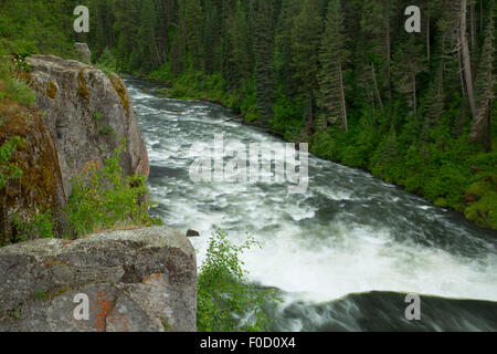 Henrys Fork ci-dessous la région de Mesa Falls, Mesa Falls Scenic Byway, Targhee National Forest, North Carolina Banque D'Images