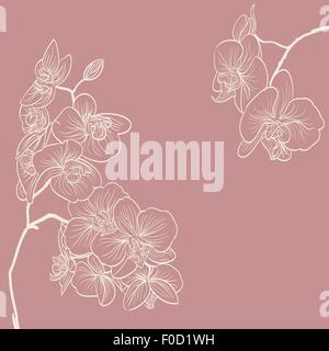 Fleurs d'orchidées d'arrière-plan de l'illustration Illustration de Vecteur