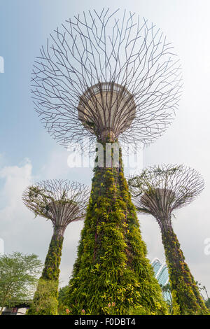 SuperTrees, jardins de la baie, à Singapour Banque D'Images