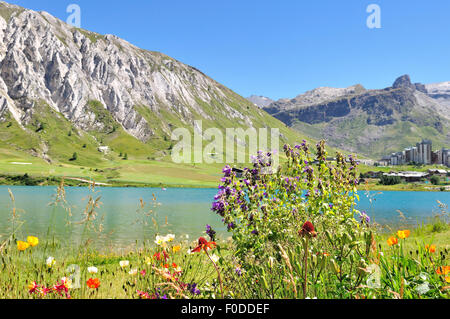 Des fleurs sur le bord d'un lac de montagne en été dans station de ski Banque D'Images