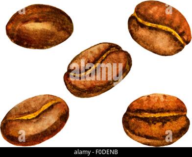 Les grains de café aquarelle set. vector illustration Illustration de Vecteur