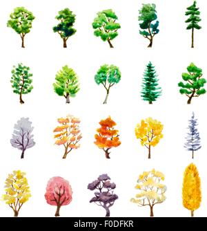 Ensemble d'arbres sur blanc. aquarelle vector illustration Illustration de Vecteur